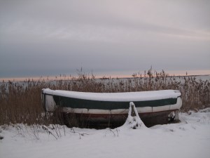 Ulvshale und Nyord im Schnee 048