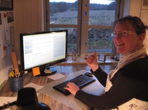 Carmen Wedeland National Novel Writing Month 2015