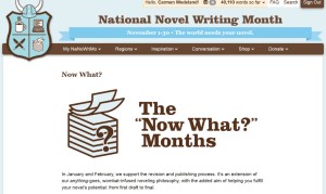 Nano Now What Months