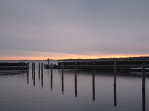 Møn Ulvshale und Nyord Winter 2015