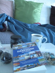 111 Gründe, Dänemark zu lieben von Maritta G. Demuth