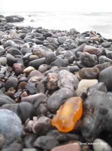 Bernstein - Rav - Busene Have - Møn