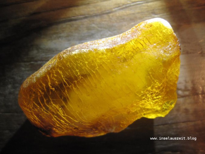 Bernstein - Rav - Busene Have - Møn